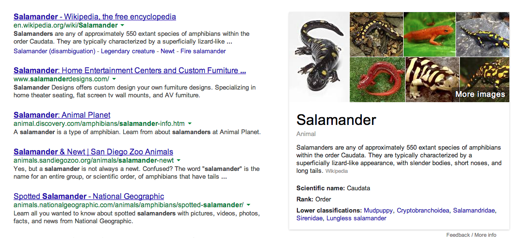 screen shot of Google search results